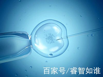 关于木棉医疗中心